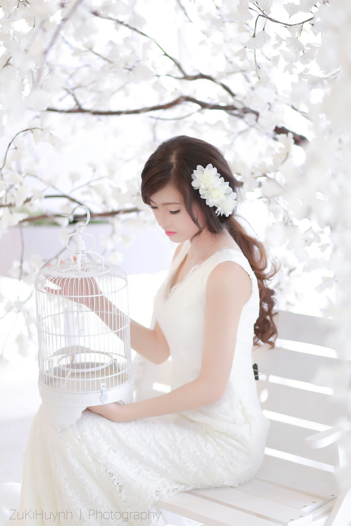 《金花瓶楷梅花2》